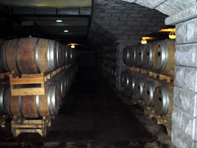 張?jiān)H葡萄酒城卡斯特酒莊好玩嗎,張?jiān)H葡萄酒城卡斯特酒莊景點(diǎn)怎么樣_點(diǎn)評_評價【攜程攻略】