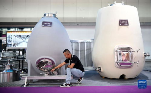 新華全媒 首屆中國 寧夏 國際葡萄酒文化旅游博覽會(huì)開幕