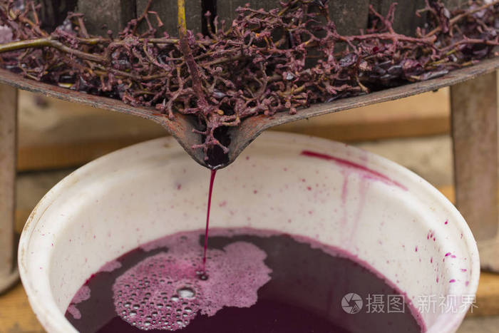 摩爾多瓦的葡萄酒生產(chǎn). 葡萄加工的古老傳統(tǒng). 榨汁機是用.
