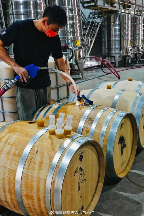 中國葡萄酒新勢力 釀松弛的酒，做最“野”的標